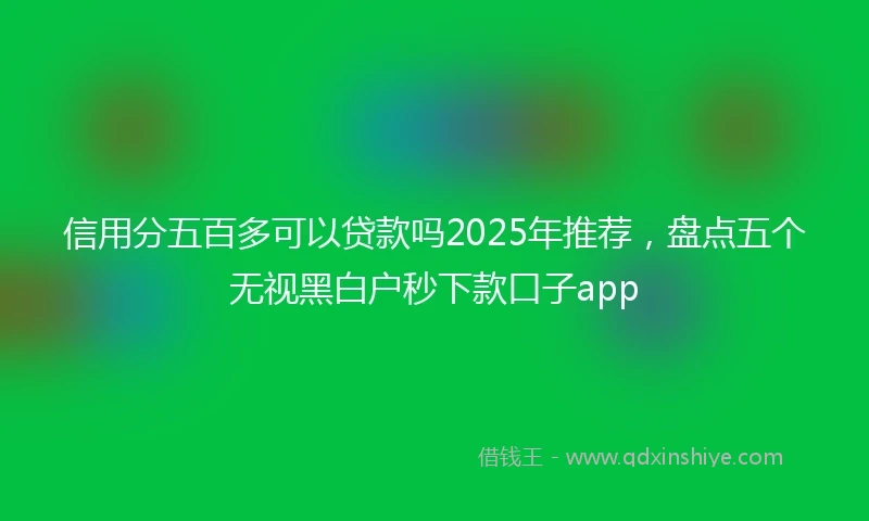 信用分五百多可以贷款吗2025年推荐，盘点五个无视黑白户秒下款口子app