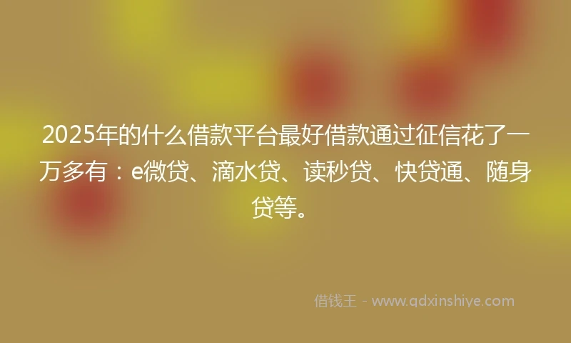 2025年的什么借款平台最好借款通过征信花了一万多有：e微贷、滴水贷、读秒贷、快贷通、随身贷等。