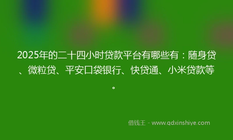 2025年的二十四小时贷款平台有哪些有：随身贷、微粒贷、平安口袋银行、快贷通、小米贷款等。