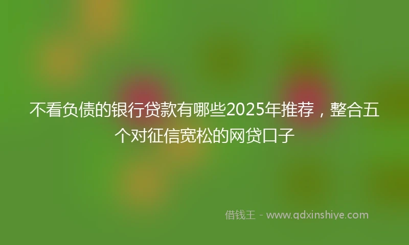 不看负债的银行贷款有哪些2025年推荐，整合五个对征信宽松的网贷口子