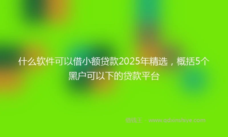 什么软件可以借小额贷款2025年精选，概括5个黑户可以下的贷款平台