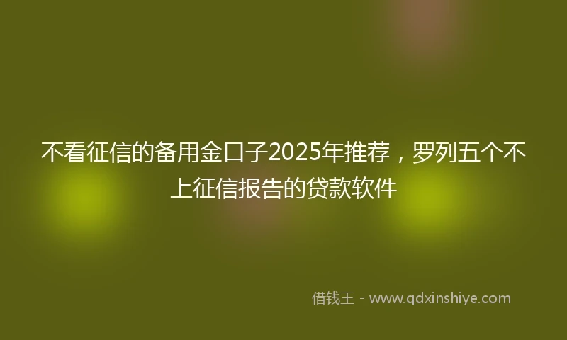 不看征信的备用金口子2025年推荐，罗列五个不上征信报告的贷款软件
