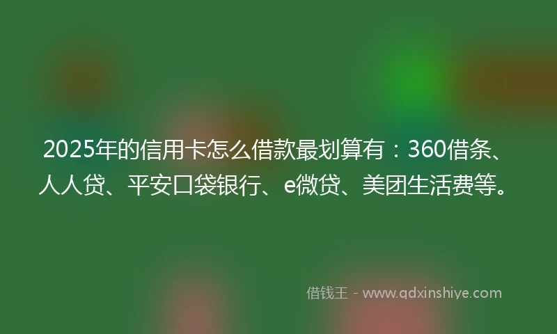 2025年的信用卡怎么借款最划算有：360借条、人人贷、平安口袋银行、e微贷、美团生活费等。