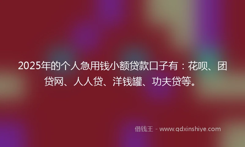2025年的个人急用钱小额贷款口子有：花呗、团贷网、人人贷、洋钱罐、功夫贷等。