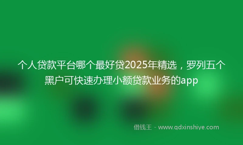 个人贷款平台哪个最好贷2025年精选，罗列五个黑户可快速办理小额贷款业务的app