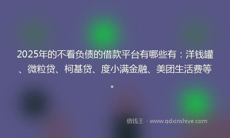 2025年的不看负债的借款平台有哪些有：洋钱罐、微粒贷、柯基贷、度小满金融、美团生活费等。