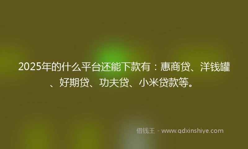 2025年的什么平台还能下款有：惠商贷、洋钱罐、好期贷、功夫贷、小米贷款等。