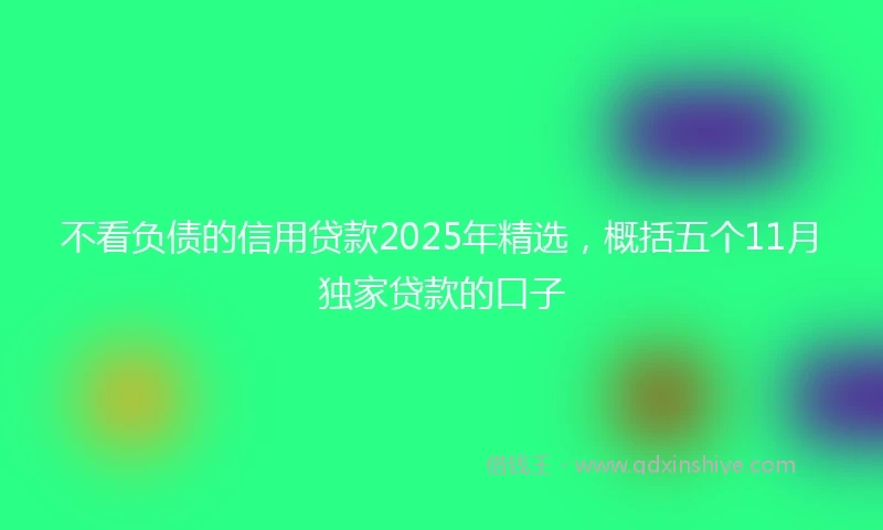 不看负债的信用贷款2025年精选，概括五个11月独家贷款的口子