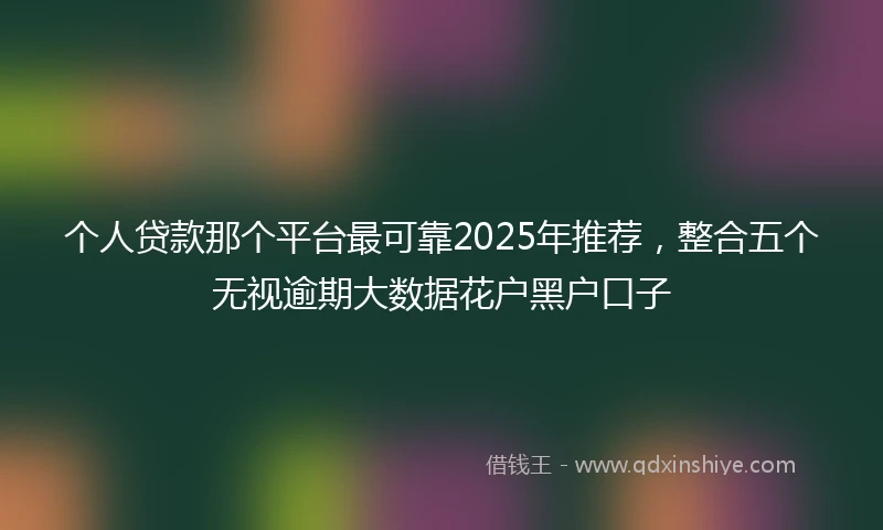 个人贷款那个平台最可靠2025年推荐，整合五个无视逾期大数据花户黑户口子