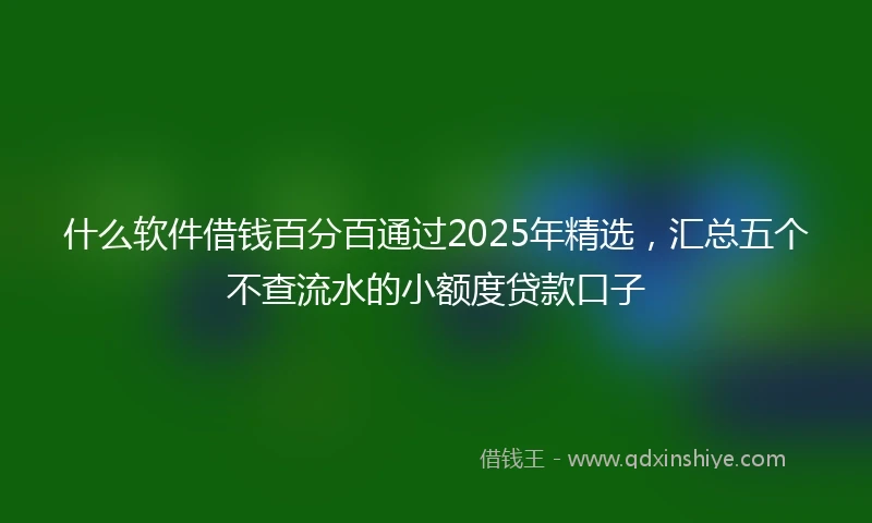 什么软件借钱百分百通过2025年精选，汇总五个不查流水的小额度贷款口子