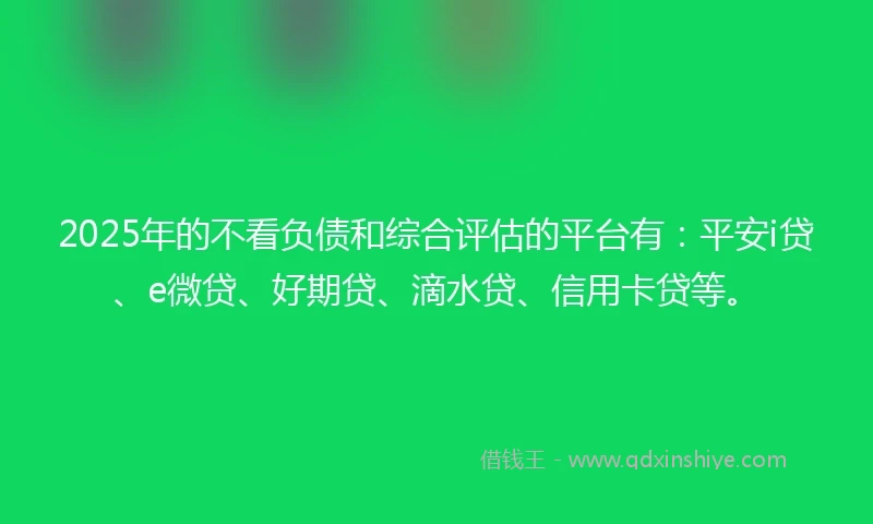 2025年的不看负债和综合评估的平台有：平安i贷、e微贷、好期贷、滴水贷、信用卡贷等。