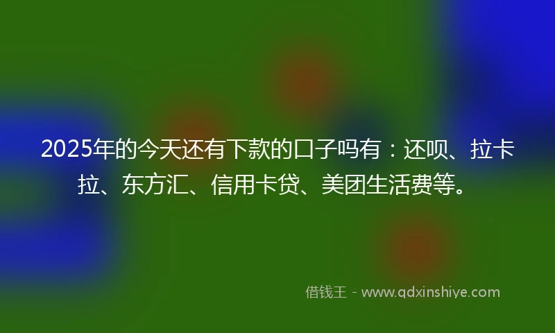 2025年的今天还有下款的口子吗有：还呗、拉卡拉、东方汇、信用卡贷、美团生活费等。