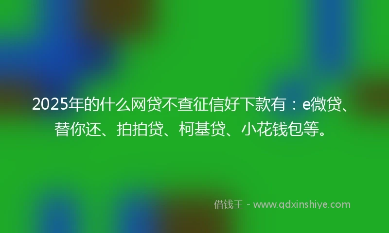 2025年的什么网贷不查征信好下款有：e微贷、替你还、拍拍贷、柯基贷、小花钱包等。