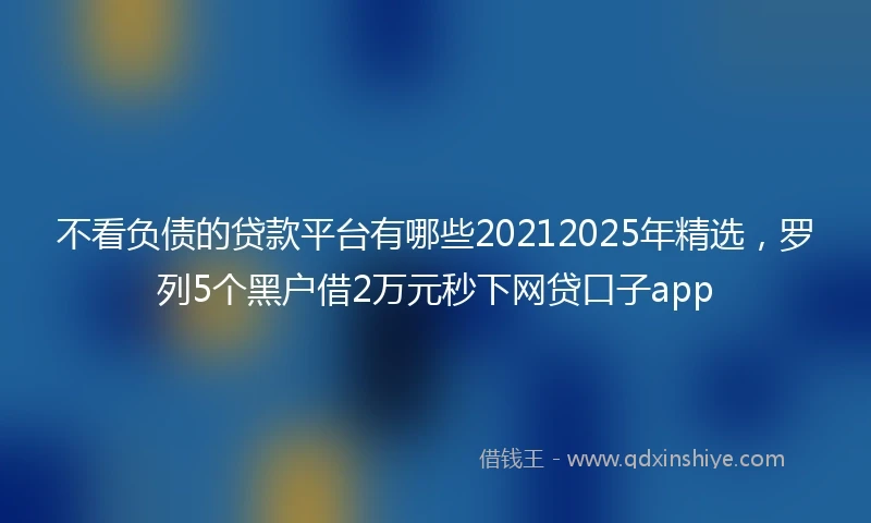 不看负债的贷款平台有哪些20212025年精选，罗列5个黑户借2万元秒下网贷口子app