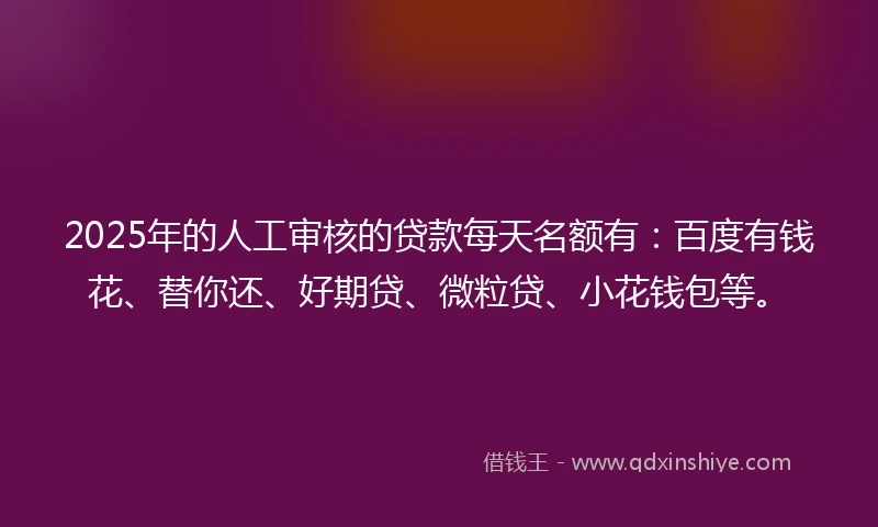 2025年的人工审核的贷款每天名额有：百度有钱花、替你还、好期贷、微粒贷、小花钱包等。