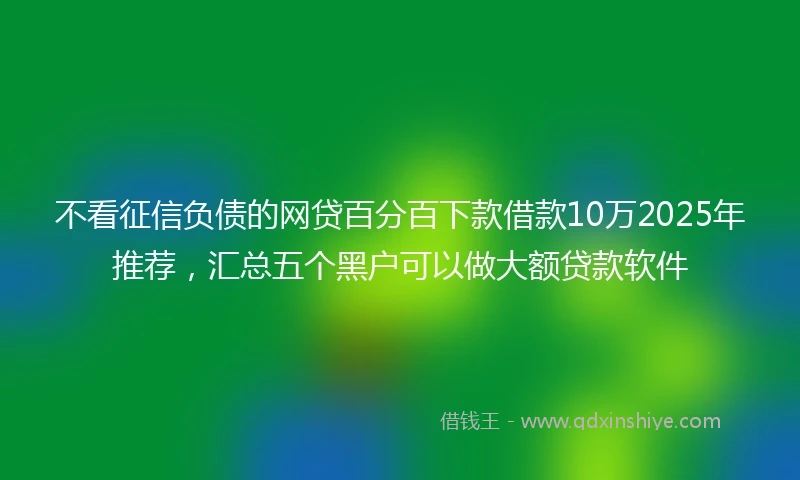 不看征信负债的网贷百分百下款借款10万2025年推荐,汇总五个黑户可以做大额贷款软件