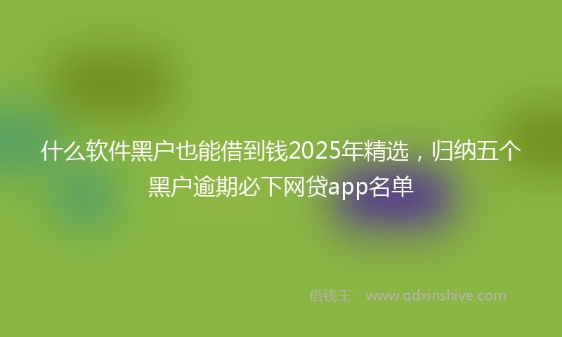 什么软件黑户也能借到钱2025年精选，归纳五个黑户逾期必下网贷app名单
