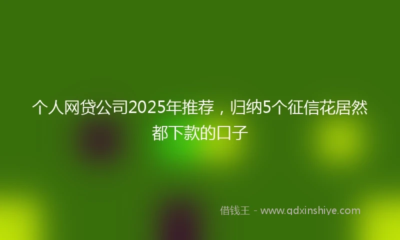 个人网贷公司2025年推荐，归纳5个征信花居然都下款的口子