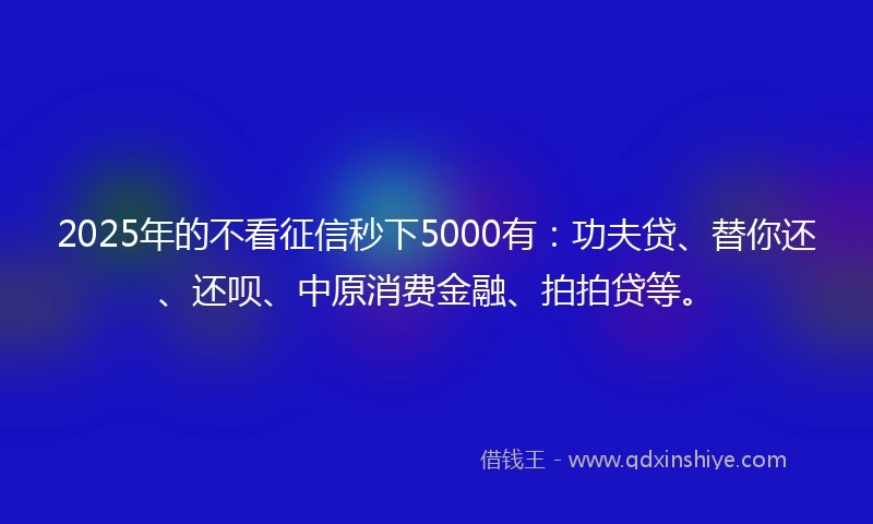 2025年的不看征信秒下5000有：功夫贷、替你还、还呗、中原消费金融、拍拍贷等。