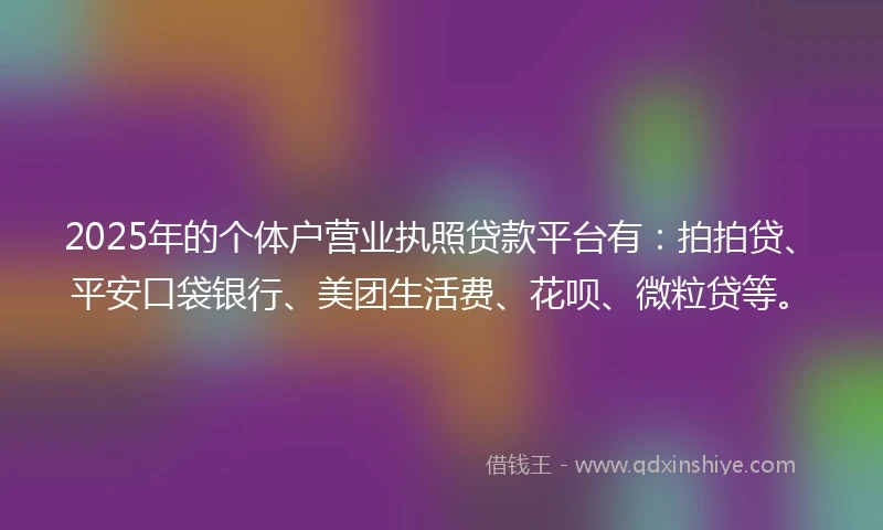 2025年的个体户营业执照贷款平台有：拍拍贷、平安口袋银行、美团生活费、花呗、微粒贷等。