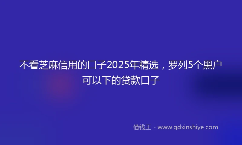 不看芝麻信用的口子2025年精选，罗列5个黑户可以下的贷款口子