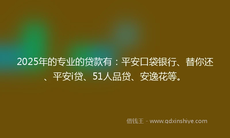 2025年的专业的贷款有：平安口袋银行、替你还、平安i贷、51人品贷、安逸花等。