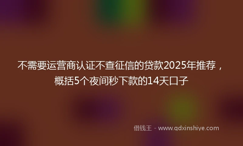不需要运营商认证不查征信的贷款2025年推荐，概括5个夜间秒下款的14天口子