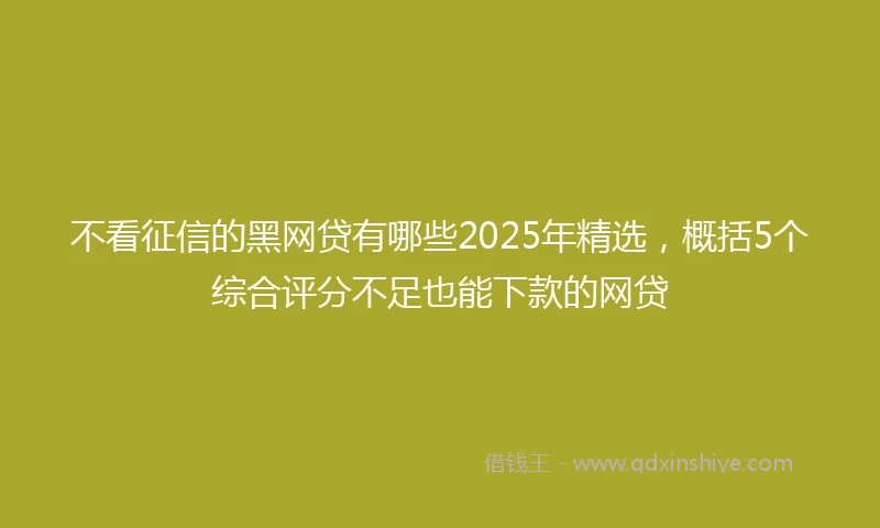 不看征信的黑网贷有哪些2025年精选，概括5个综合评分不足也能下款的网贷