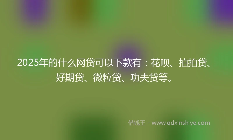 2025年的什么网贷可以下款有：花呗、拍拍贷、好期贷、微粒贷、功夫贷等。