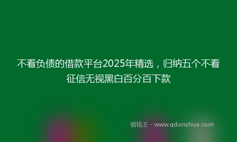 不看负债的借款平台2025年精选，归纳五个不看征信无视黑白百分百下款