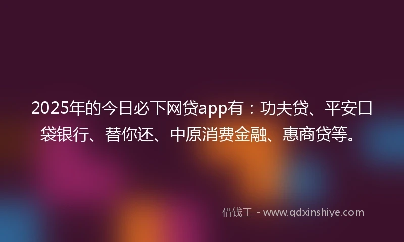 2025年的今日必下网贷app有：功夫贷、平安口袋银行、替你还、中原消费金融、惠商贷等。