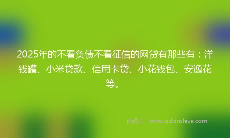 2025年的不看负债不看征信的网贷有那些有：洋钱罐、小米贷款、信用卡贷、小花钱包、安逸花等。