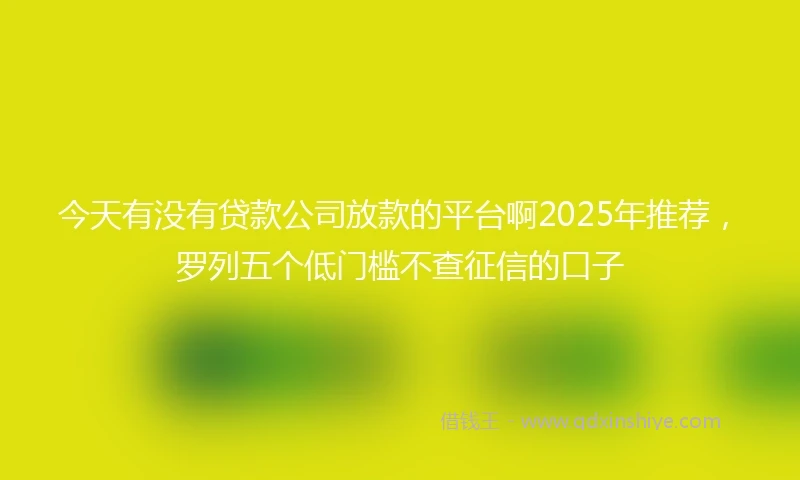 今天有没有贷款公司放款的平台啊2025年推荐，罗列五个低门槛不查征信的口子