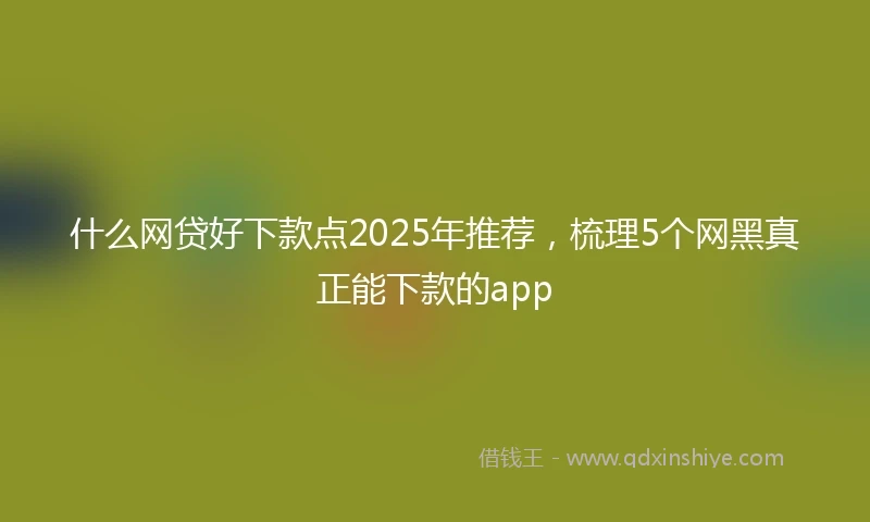 什么网贷好下款点2025年推荐，梳理5个网黑真正能下款的app