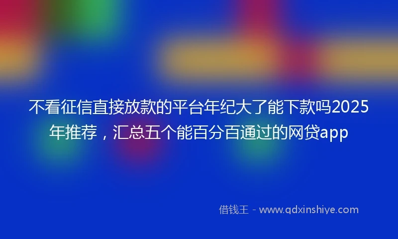 不看征信直接放款的平台年纪大了能下款吗2025年推荐，汇总五个能百分百通过的网贷app