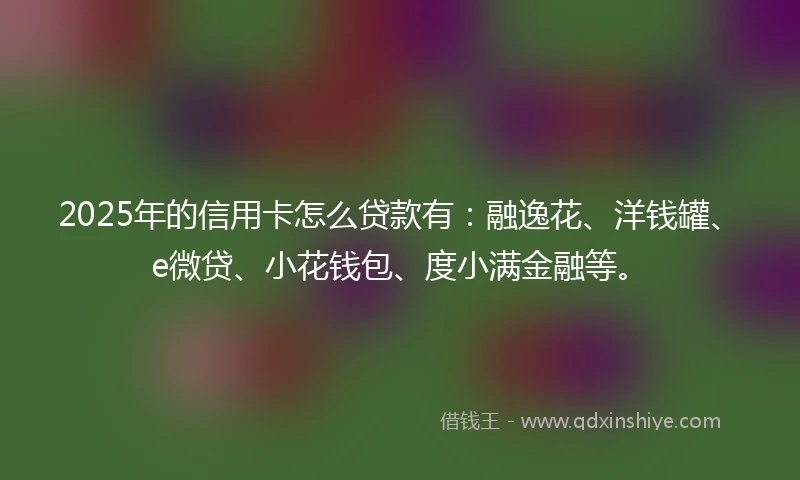 2025年的信用卡怎么贷款有：融逸花、洋钱罐、e微贷、小花钱包、度小满金融等。