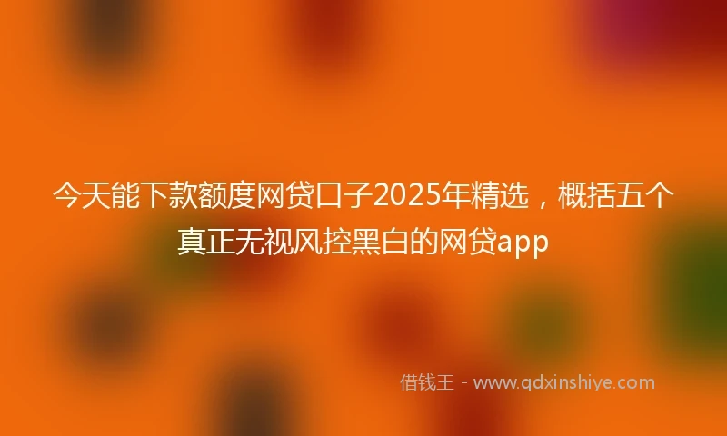今天能下款额度网贷口子2025年精选，概括五个真正无视风控黑白的网贷app