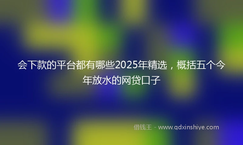 会下款的平台都有哪些2025年精选，概括五个今年放水的网贷口子