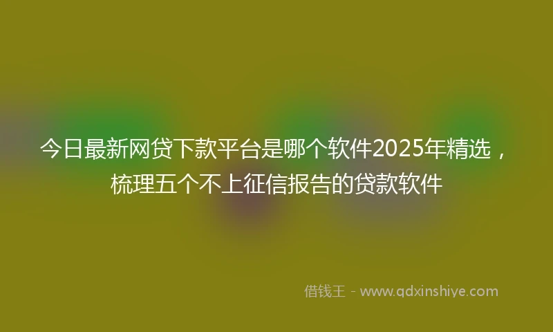 今日最新网贷下款平台是哪个软件2025年精选，梳理五个不上征信报告的贷款软件