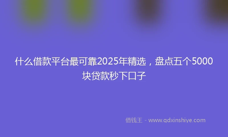 什么借款平台最可靠2025年精选，盘点五个5000块贷款秒下口子