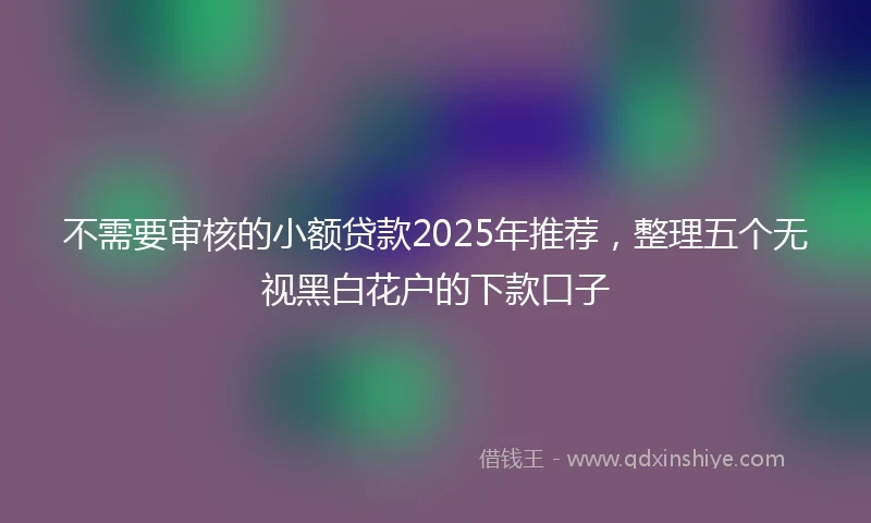 不需要审核的小额贷款2025年推荐，整理五个无视黑白花户的下款口子