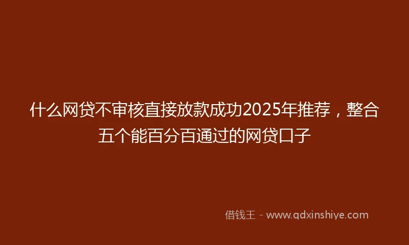 什么网贷不审核直接放款成功2025年推荐，整合五个能百分百通过的网贷口子