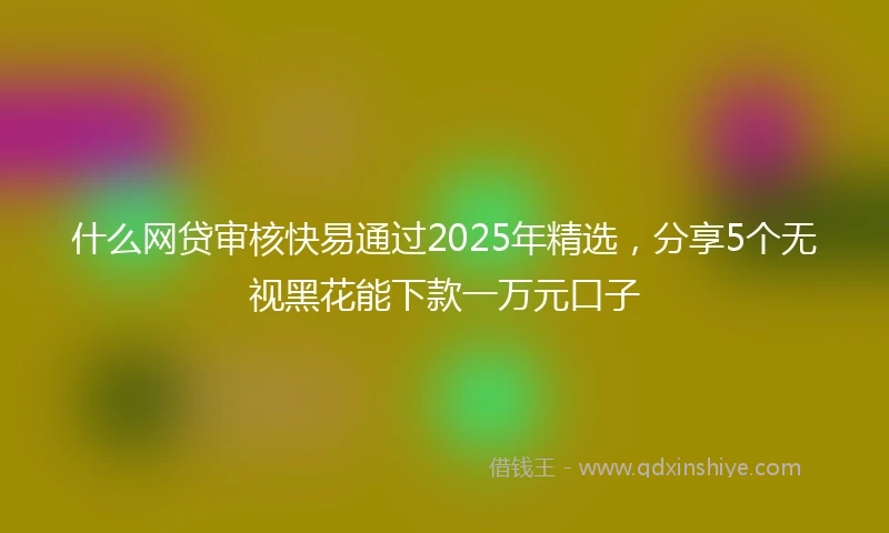 什么网贷审核快易通过2025年精选，分享5个无视黑花能下款一万元口子