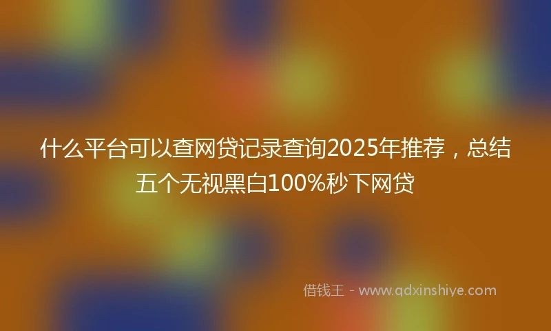 什么平台可以查网贷记录查询2025年推荐，总结五个无视黑白100%秒下网贷