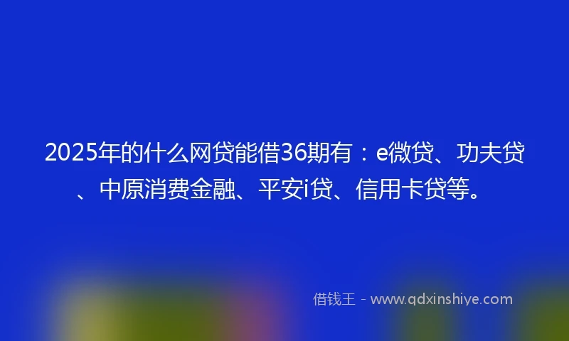 2025年的什么网贷能借36期有：e微贷、功夫贷、中原消费金融、平安i贷、信用卡贷等。