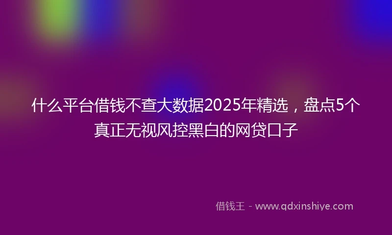 什么平台借钱不查大数据2025年精选，盘点5个真正无视风控黑白的网贷口子