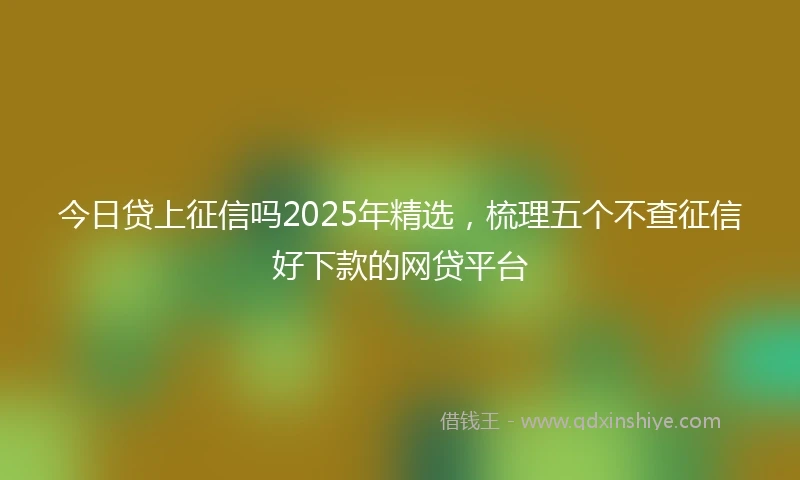 今日贷上征信吗2025年精选，梳理五个不查征信好下款的网贷平台