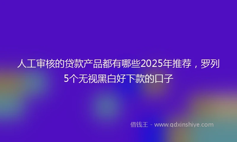 人工审核的贷款产品都有哪些2025年推荐，罗列5个无视黑白好下款的口子
