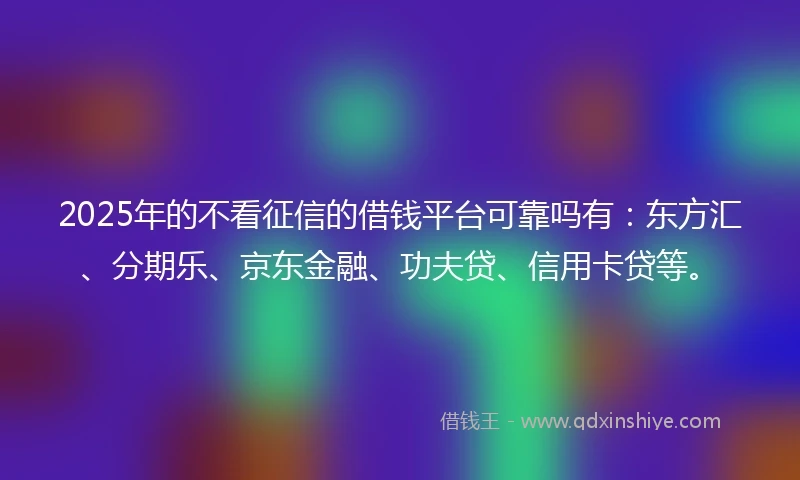 2025年的不看征信的借钱平台可靠吗有：东方汇、分期乐、京东金融、功夫贷、信用卡贷等。