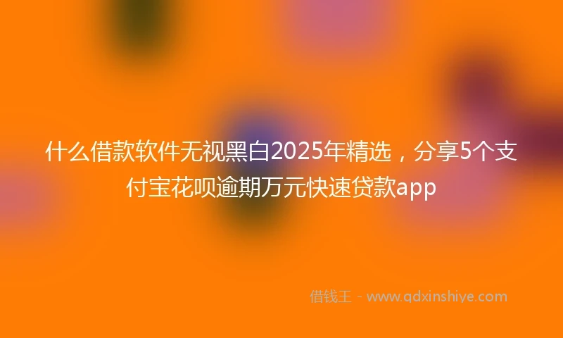 什么借款软件无视黑白2025年精选，分享5个支付宝花呗逾期万元快速贷款app